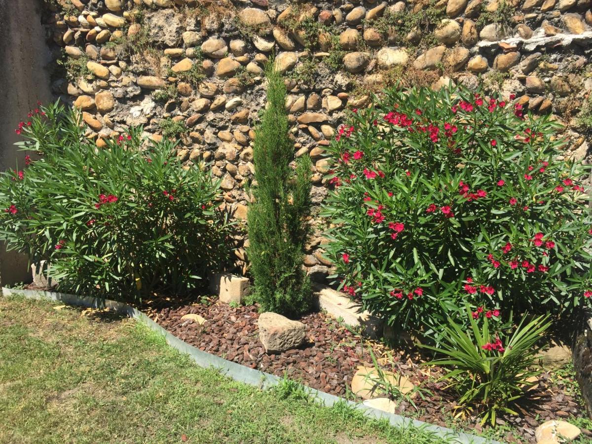 Le Charles IX Apartman Roussillon  Kültér fotó